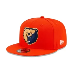 Flash Sale Alpha Industries X Chicago Cubs Zipper Hoodie - KTGCaps - Baseball caps for various teams, purchased online at a discount