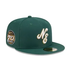 Best Alpha Industries X Detroit Lions 59FIFTY Fitted Hat - KTGCaps - Baseball caps for various teams, purchased online at a discount