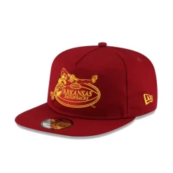 Shop Arkansas Razorbacks College Vault Golfer - KTGCaps - Baseball caps for various teams, purchased online at a discount Caps