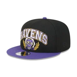Discount Baltimore Ravens Team Establish 9FIFTY Snapback Hat - KTGCaps - Baseball caps for various teams, purchased online at a discount Caps