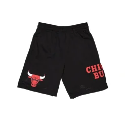 Shop Chicago Bulls Mesh Shorts - KTGCaps - Baseball caps for various teams, purchased online at a discount Caps