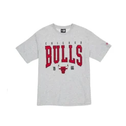 Clearance Chicago Bulls Sport Classics Gray TShirt - KTGCaps - Baseball caps for various teams, purchased online at a discount Caps