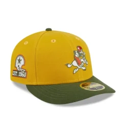 Store Dallas Cowboys Cinnamon Sage Low Profile 59FIFTY Fitted Hat - KTGCaps - Baseball caps for various teams, purchased online at a discount Caps