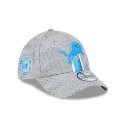Shop Detroit Lions 2024 Sideline Gray 39THIRTY Stretch Fit Hat - KTGCaps - Baseball caps for various teams, purchased online at a discount Caps