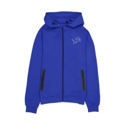 Online Detroit Lions Active FullZip Hoodie - KTGCaps - Baseball caps for various teams, purchased online at a discount Caps