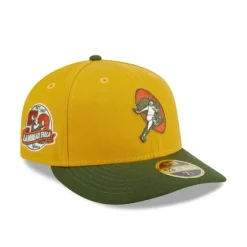 Sale Green Bay Packers Cinnamon Sage Low Profile 59FIFTY Fitted Hat - KTGCaps - Baseball caps for various teams, purchased online at a discount Caps