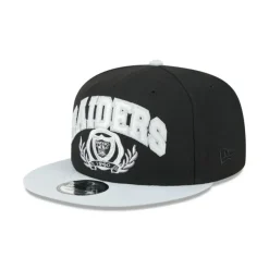 Best Las Vegas Raiders Team Establish 9FIFTY Snapback Hat - KTGCaps - Baseball caps for various teams, purchased online at a discount Caps