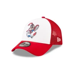 Shop Looney Tunes Taz 9FORTY AFrame Trucker Hat - KTGCaps - Baseball caps for various teams, purchased online at a discount Caps