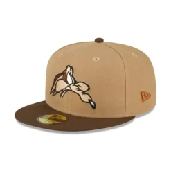 Clearance Looney Tunes Wile E Coyote 59FIFTY Fitted Hat - KTGCaps - Baseball caps for various teams, purchased online at a discount Caps