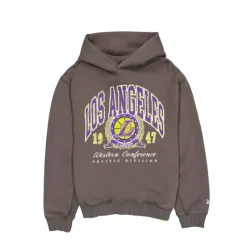 Online Los Angeles Lakers Oversized Essentials Hoodie - KTGCaps - Baseball caps for various teams, purchased online at a discount