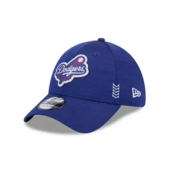 Store New York Mets Rugged 9TWENTY Adjustable Hat - KTGCaps - Baseball caps for various teams, purchased online at a discount