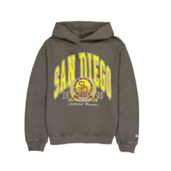 Online San Diego Padres Oversized Essentials Hoodie - KTGCaps - Baseball caps for various teams, purchased online at a discount