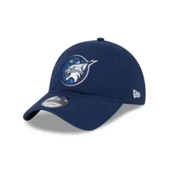 Clearance Toronto Raptors Script Kids 9FIFTY Snapback Hat - KTGCaps - Baseball caps for various teams, purchased online at a discount