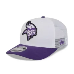 Online Warner Brothers Shield Pack Navy 59FIFTY Fitted Hat - KTGCaps - Baseball caps for various teams, purchased online at a discount