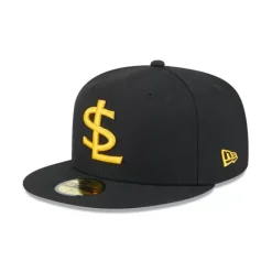 Shop Warner Brothers Shield Pack 9TWENTY Adjustable Hat - KTGCaps - Baseball caps for various teams, purchased online at a discount