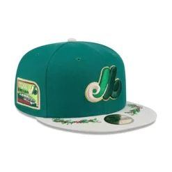 Flash Sale Winnipeg Jets Perform 9SEVENTY StretchSnap Hat - KTGCaps - Baseball caps for various teams, purchased online at a discount